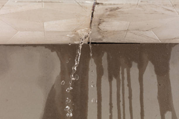 Professional Sewage Cleanup technician working in Jacksonville, TX